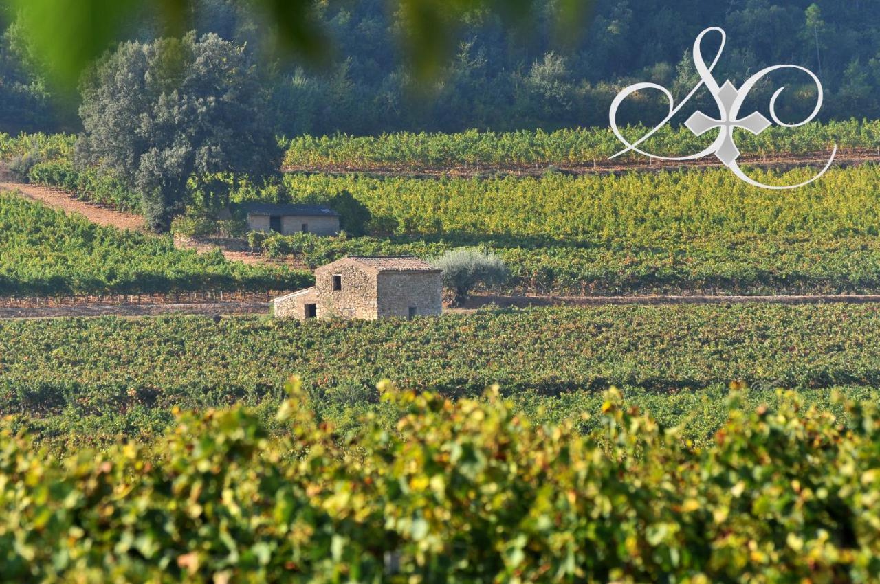 Chateau De Sainte Croix Carcès エクステリア 写真